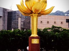 -金莲花广场