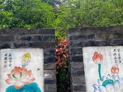 -冶父山国家森林公园