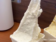 -野人先生Gelato(上海长宁龙之梦店)