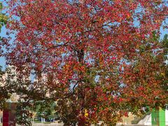 -白塘生态植物园