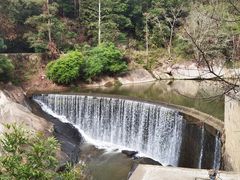 -九鲤湖风景区