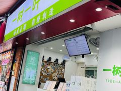 -一树一叶·福建茶档(石鼓路店)