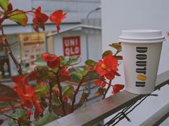 景观位-DOUTOR德咖伦(吴江路店)
