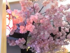 -九田家黑牛烤肉料理(中北镇店)