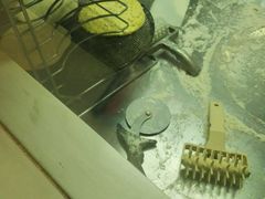操作间-棒约翰比萨·意面(剑河店)