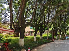 -云南民族村