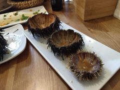 -海胆小馆(东北水饺·春柳店)