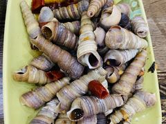 和味炒丁螺-贞姨美食·老字号海鲜大排档