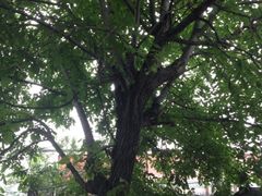 iphone_upload_pic-十三陵山水雅园农家院