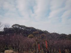 -无锡梅园公园