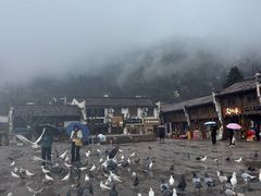 -九华山风景区