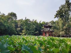 -房湖公园