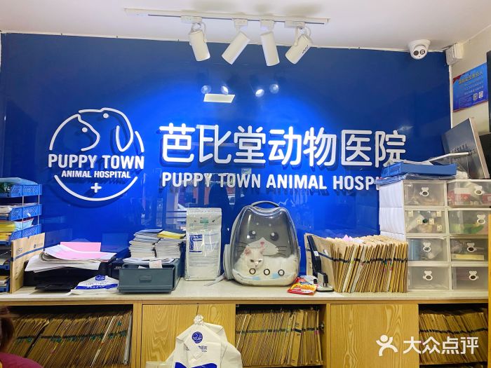广州24小时营业宠物医院名单整理，这些医院便宜又好