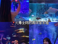 -沈阳海洋探索中心