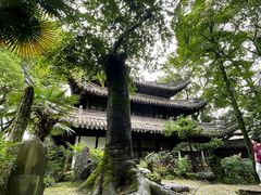 -天一阁博物院
