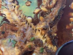 -眼镜哥浦江夜宵大本营