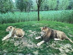 -北京野生动物园