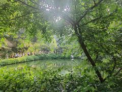 -岳麓山风景名胜区