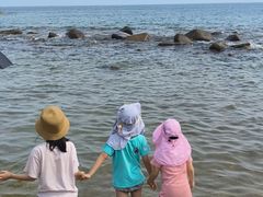 -广东惠东海龟国家级自然保护区