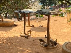 -泉州海丝野生动物世界