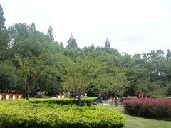 -徐家汇源景区-衡山公园