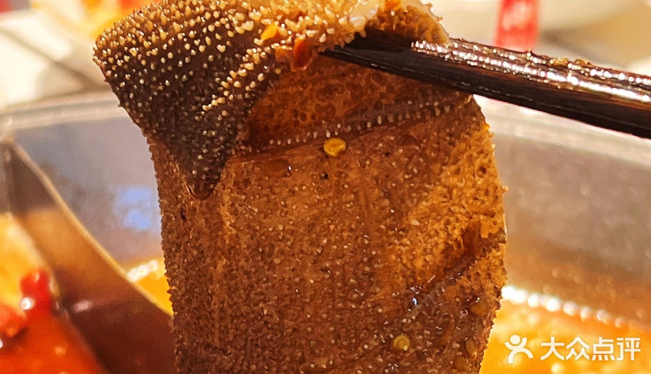 火锅|夏天吃起来就是很爽