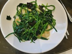 花园菠菜-東大方(武康千秋广场店)