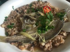 -绿雅居原生态农庄(小涌店)