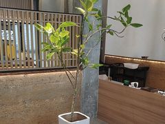 -上荔晶·土菜馆(古田店)
