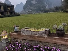 -明仕田园