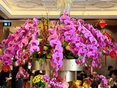 -金悦轩海鲜酒家(拱北店)