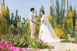 -绿皮火车照相馆 婚纱照旅拍(厦门店)