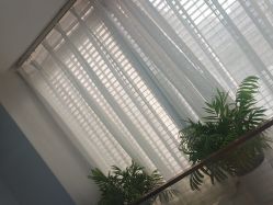 -悟空祛痘·诺奖技术专业店