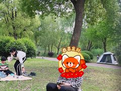 -九科绿洲
