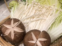 -同仁四季椰子鸡(福田东园总店)