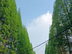 -海窝子古镇