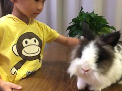 -藦茜花园宠物主题亲子互动体验馆(国顺东路店)