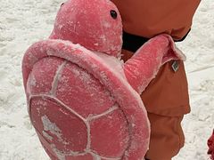 -广州热雪奇迹