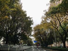 -云溪植物园
