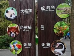 -成都动物园
