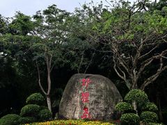 -野狸岛