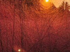 -昆山城市生态森林公园