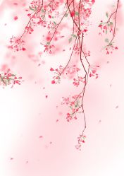 -Oasis Beauty水磨坊科技美肤中心