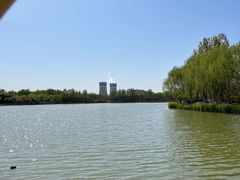 -塘沽森林公园