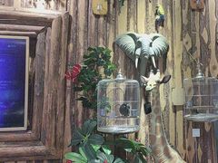 -西西里轰趴日租聚会别墅·团建拓展