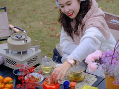 -铁山坪森林公园