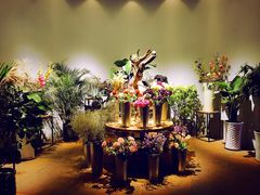 -听香·678茶铺(猛追湾店)