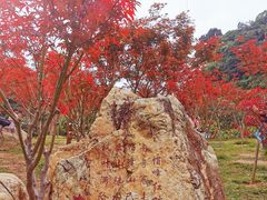 -广州市帽峰山景区