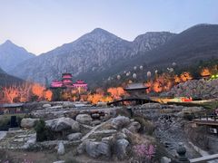 -禅宗少林·音乐大典