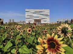 -武汉理工大学（南湖新校区）-图书馆